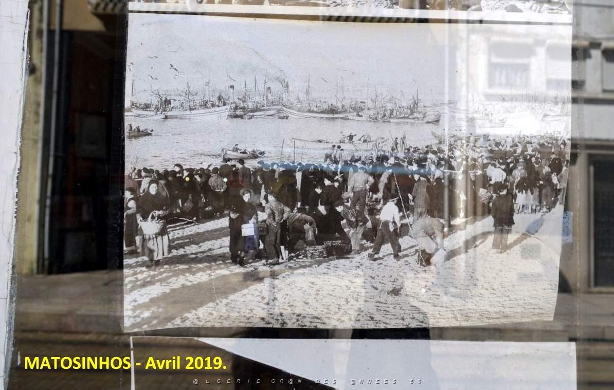 0626 Porto Matosinhos.jpg
